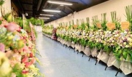 花篮网爆料最新网站,最新网站幕后故事大曝光