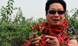 中国辣王最新爆料,中国辣王揭秘行业内幕