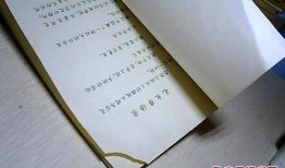 卑贱手机在线观看