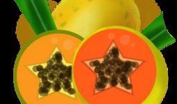 吃瓜头像素材下载免费版,轻松打造趣味表情包